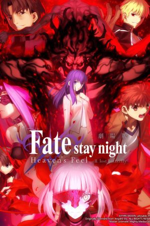 Fate/stay night (Heaven's Feel) II. Cánh bướm lạc đường